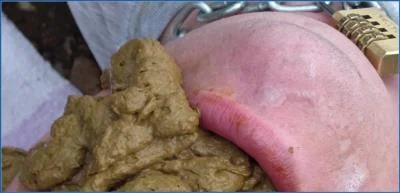 MilanaSmelly's Beach Defecation and Humiliation - Scat Party in Russia
