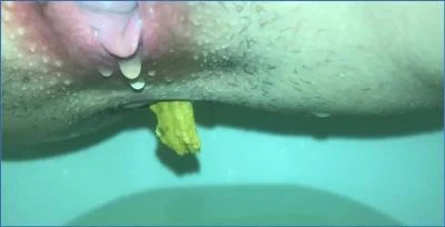 Missellie Vomits, Smears, and Tastes Fresh Shit in Extreme Solo
