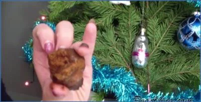 PooAlina Streams Scat Vomit Porn: Dirty Russian Defecation and Urine