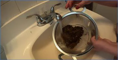 Layla Lee Panty Pooping and Smearing - Scat Treasure Hunt