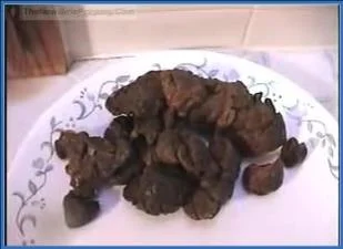 Ashley's Dirty Kaviar and Uninhibited Mess Spree - Poop Clips