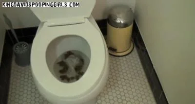 Alina Delivers Hardcore Coprophagia in Drew Huge Toilet Poop