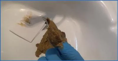 Mistress Roberta Engages in hardcore Toilet Slavery with Diarrhea and Piss dirt