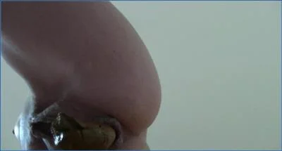 Maria Devot in Extreme Fetish: Piss and Poop Close-Up Caviar