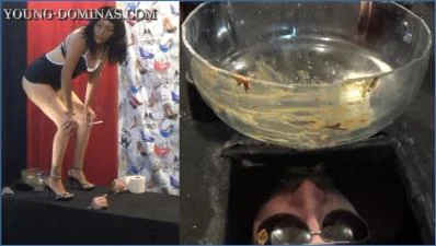 Stupid Slaves Stars in Black Box Poop Receiver Part 3 Fetish mess