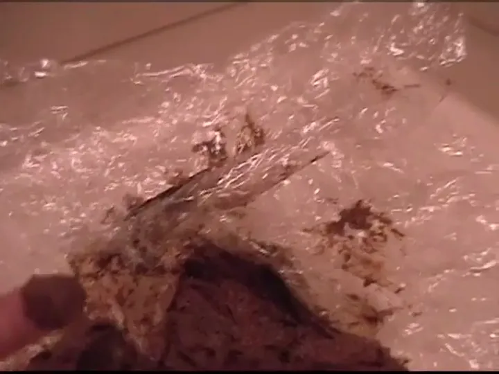 Soft Piles Accumulate in Unpolished Japanese Toilet Scat Round