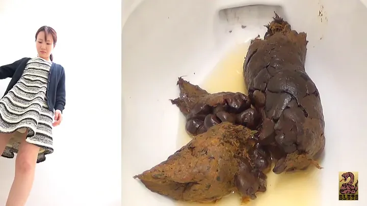 Six-Camera Full-Shot Pooping Research: A Comprehensive Look at Scat
