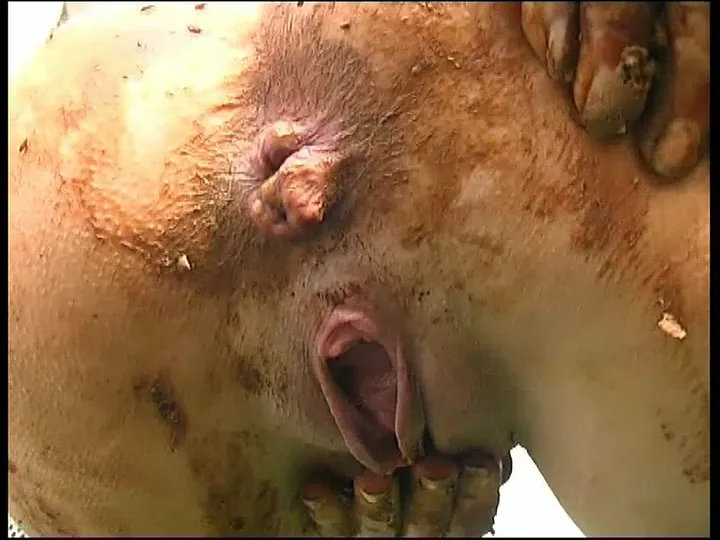 German Kaviar: Unfiltered Scat Romp with Multiple Performers