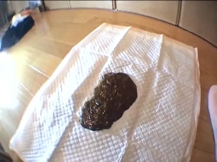 Japanese Scat Kaviar Grind: Long-Form Mucky JAV Defecation Feast